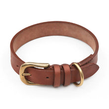 Load image into Gallery viewer, Premium Leather Dog Collar for Hunting Dogs