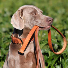 Load image into Gallery viewer, Premium Leather Dog Lead