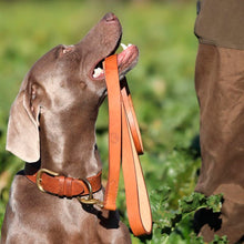Load image into Gallery viewer, Premium Leather Dog Lead