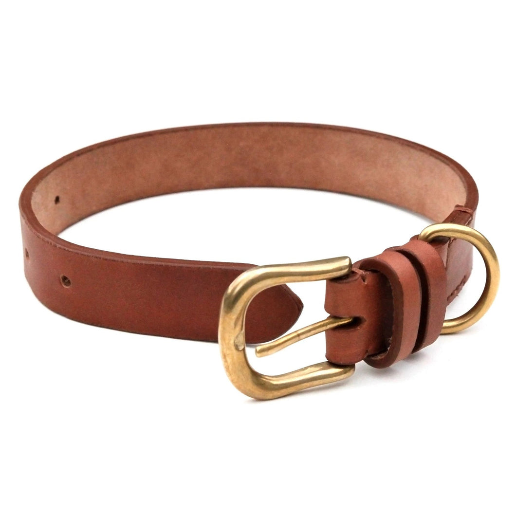 Premium Leather Dog Collar for Hunting Dogs