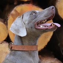 Load image into Gallery viewer, Premium Leather Dog Collar for Hunting Dogs

